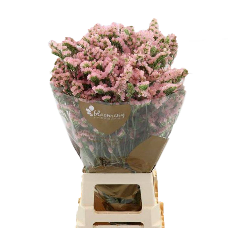 Статица эмма пич в Санкт-Петербурге