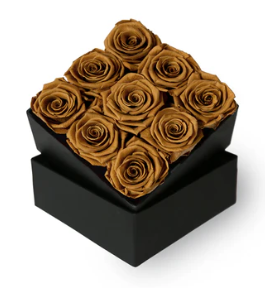 Bud Rose tinted preserved cocoa luxe