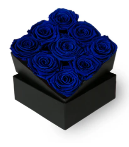 Bud Rose tinted preserved electric blue