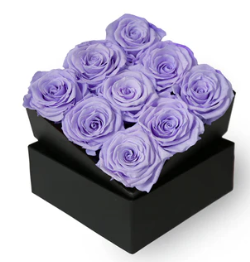 Bud Rose tinted preserved lavender