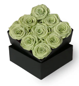 Bud Rose tinted preserved mint green