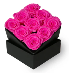 Bud Rose tinted preserved neon pink