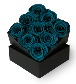 Bud Rose tinted preserved petroleum blue