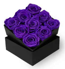 Bud Rose tinted preserved purple