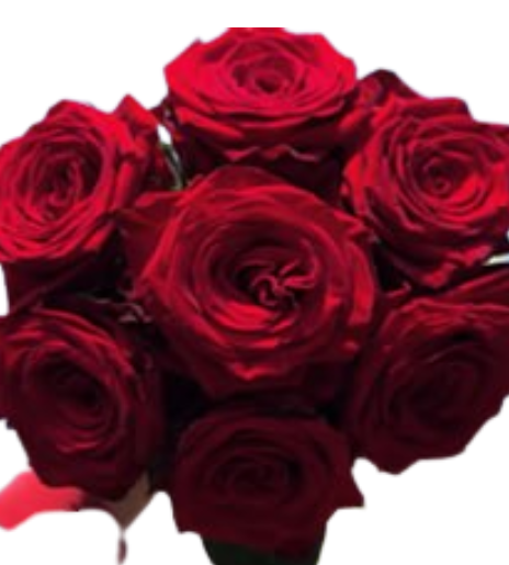 Роза однг истерн секрет рилм