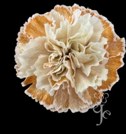 Carnation tinted coffee