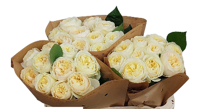 Роза однг веддинг чэпэл