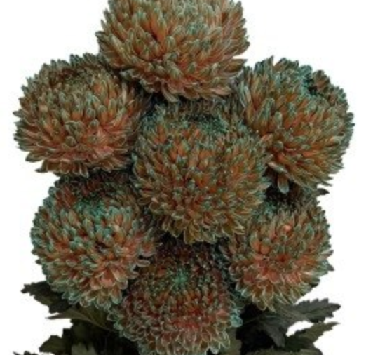 Chrysanthemum tinted copper patina